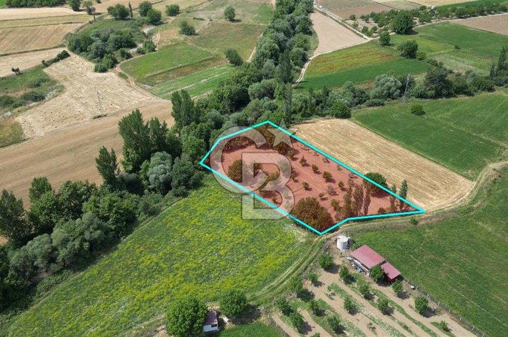 Muğla / Yatağan / Hisarardı – Aşağıova Mevkii 3.393 m2 Satılık Tarla