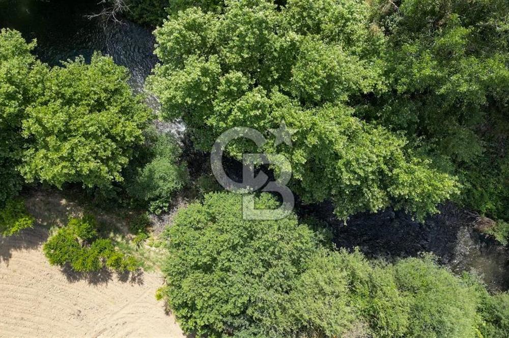 Muğla / Yatağan / Hisarardı – Aşağıova Mevkii 3.393 m2 Satılık Tarla