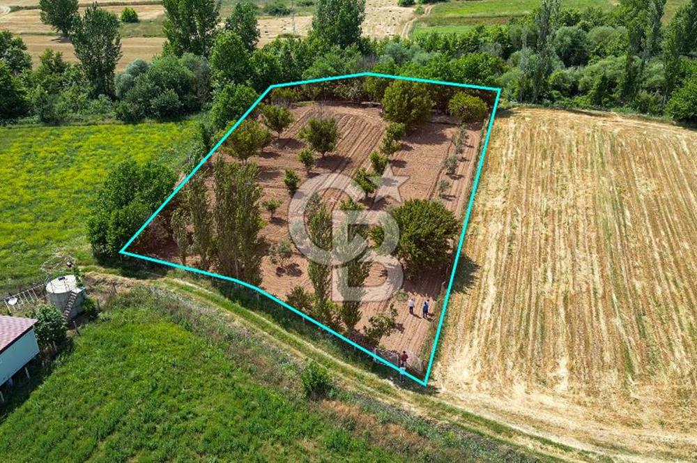 Muğla / Yatağan / Hisarardı – Aşağıova Mevkii 3.393 m2 Satılık Tarla
