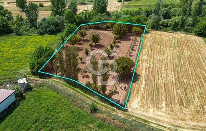 Muğla / Yatağan / Hisarardı – Aşağıova Mevkii 3.393 m2 Satılık Tarla