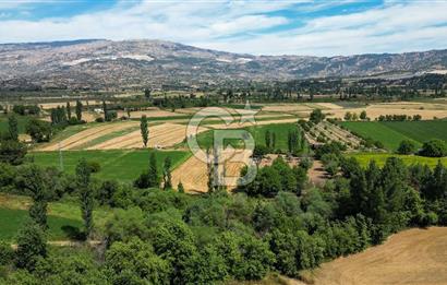 Muğla / Yatağan / Hisarardı – Aşağıova Mevkii 3.393 m2 Satılık Tarla