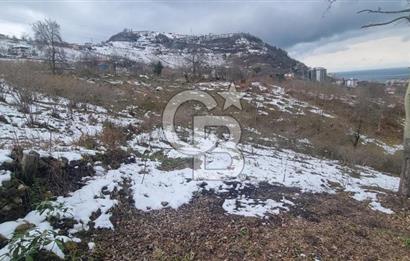 TRABZON ARSİN DE SAHİLE 1 KM DENİZ MANZARALI SATILIK ARSA