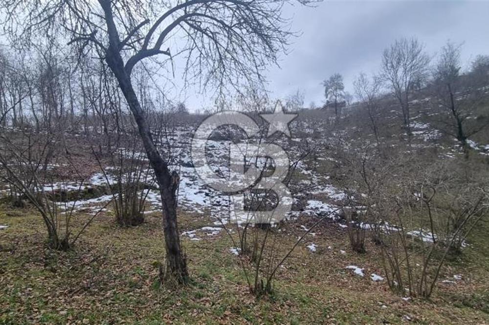 TRABZON ARSİN DE SAHİLE 1 KM DENİZ MANZARALI SATILIK ARSA