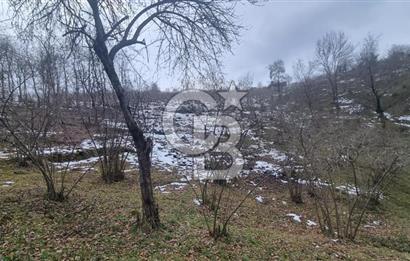 TRABZON ARSİN DE SAHİLE 1 KM DENİZ MANZARALI SATILIK ARSA