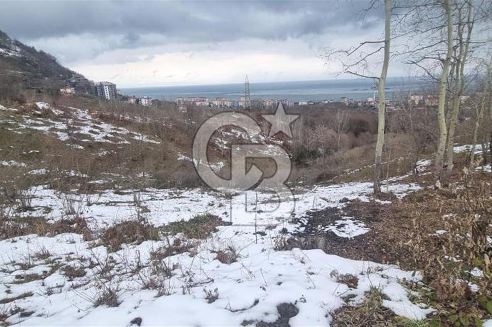 TRABZON ARSİN DE SAHİLE 1 KM DENİZ MANZARALI SATILIK ARSA