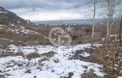 TRABZON ARSİN DE SAHİLE 1 KM DENİZ MANZARALI SATILIK ARSA