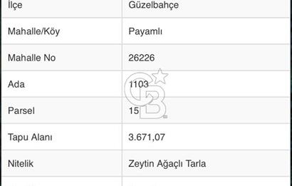 Güzelbahçe 'de 3671 M2 Satılık Doğa Manzaralı Tarla