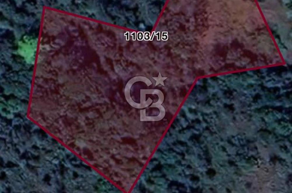 Güzelbahçe 'de 3671 M2 Satılık Doğa Manzaralı Tarla