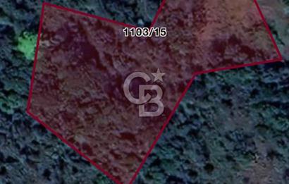 Güzelbahçe 'de 3671 M2 Satılık Doğa Manzaralı Tarla