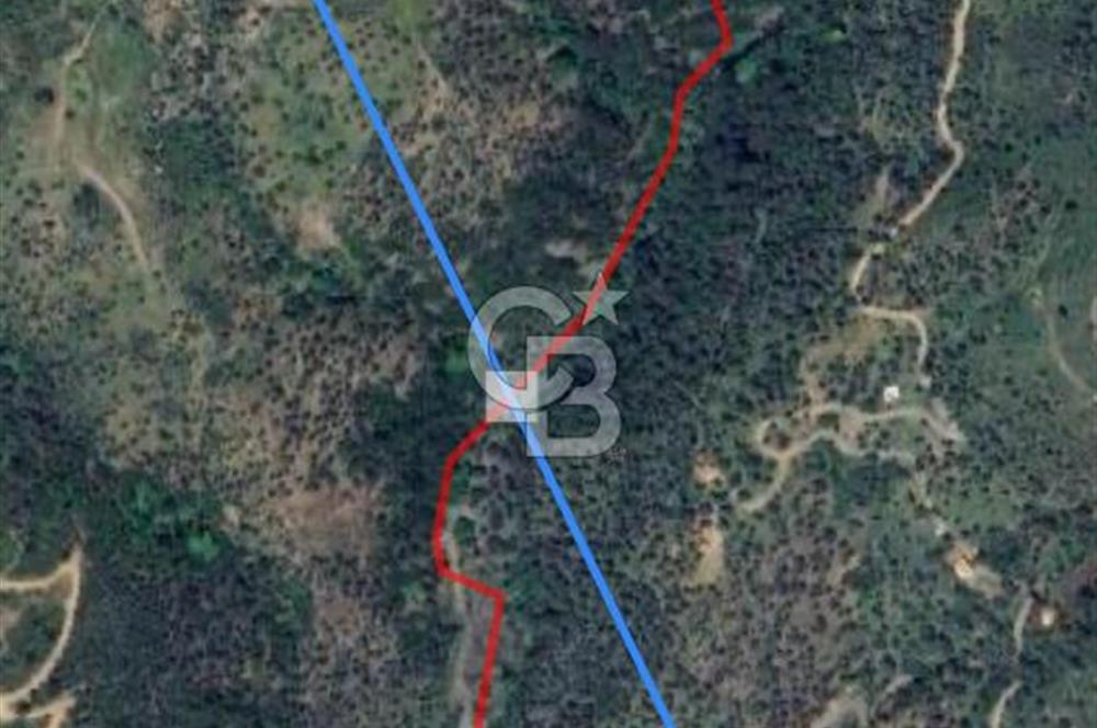 Güzelbahçe 'de 3671 M2 Satılık Doğa Manzaralı Tarla