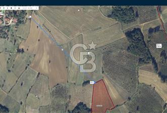 KANDIRA YUSUFÇA,KÖYE 350 MT,ORMANA CEPHE,10277 M2 MÜSTAKİL TARLA