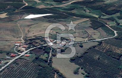 KANDIRA YUSUFÇA,KÖYE 350 MT,ORMANA CEPHE,10277 M2 MÜSTAKİL TARLA