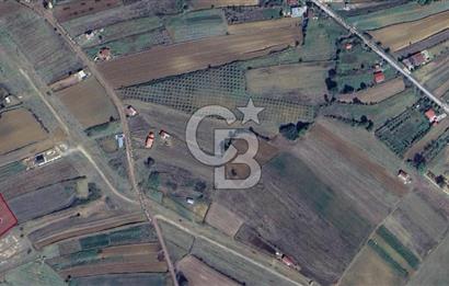 KANDIRA ÇALKÖY,YENİ YOLA 1 PARSEL,SAHİL 3 KM,DÜZ,MÜSTAKİL TARLA