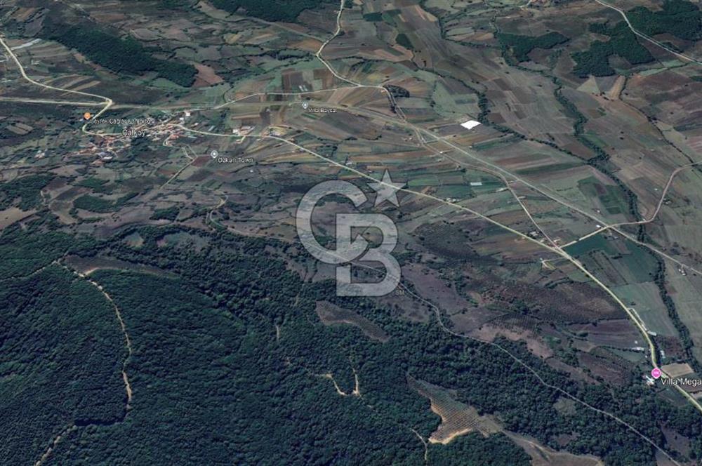 KANDIRA ÇALKÖY,YENİ YOLA 1 PARSEL,SAHİL 3 KM,DÜZ,MÜSTAKİL TARLA