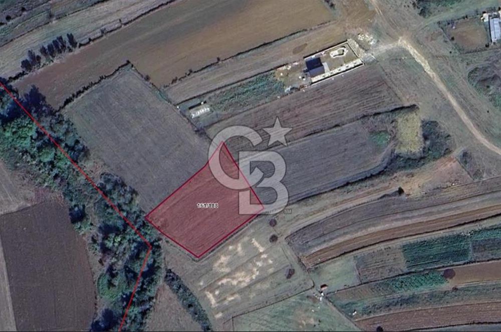 KANDIRA ÇALKÖY,YENİ YOLA 1 PARSEL,SAHİL 3 KM,DÜZ,MÜSTAKİL TARLA