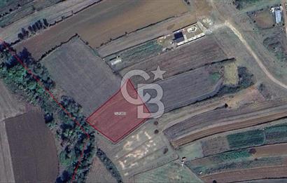 KANDIRA ÇALKÖY,YENİ YOLA 1 PARSEL,SAHİL 3 KM,DÜZ,MÜSTAKİL TARLA