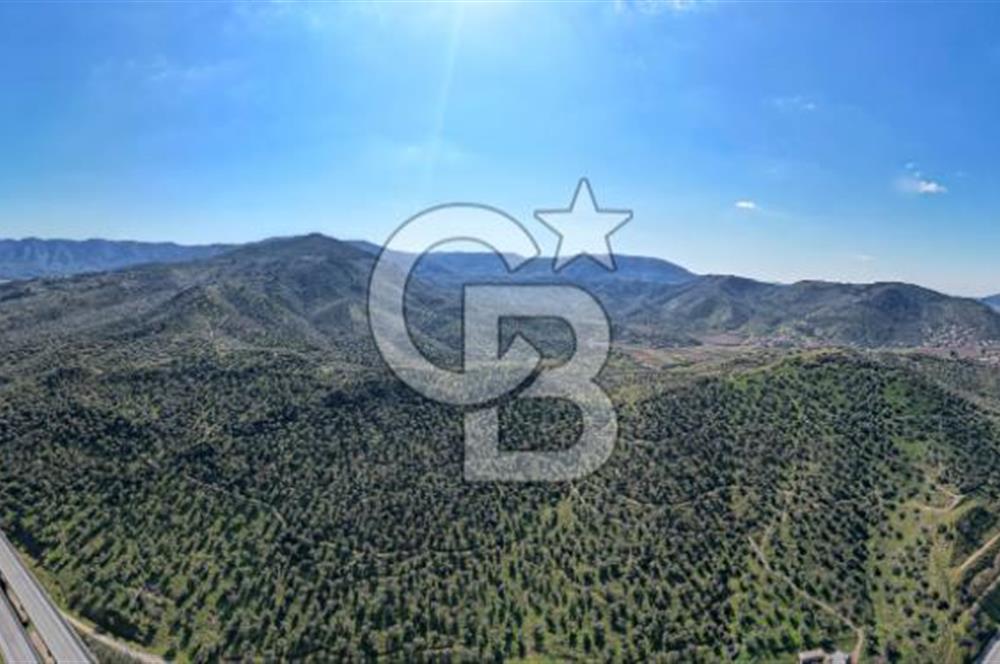BELEVİ GÖLÜ KARŞISI 108.343 METREKARE SATILIK ARAZİ!