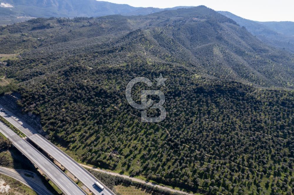 BELEVİ GÖLÜ KARŞISI 108.343 METREKARE SATILIK ARAZİ!