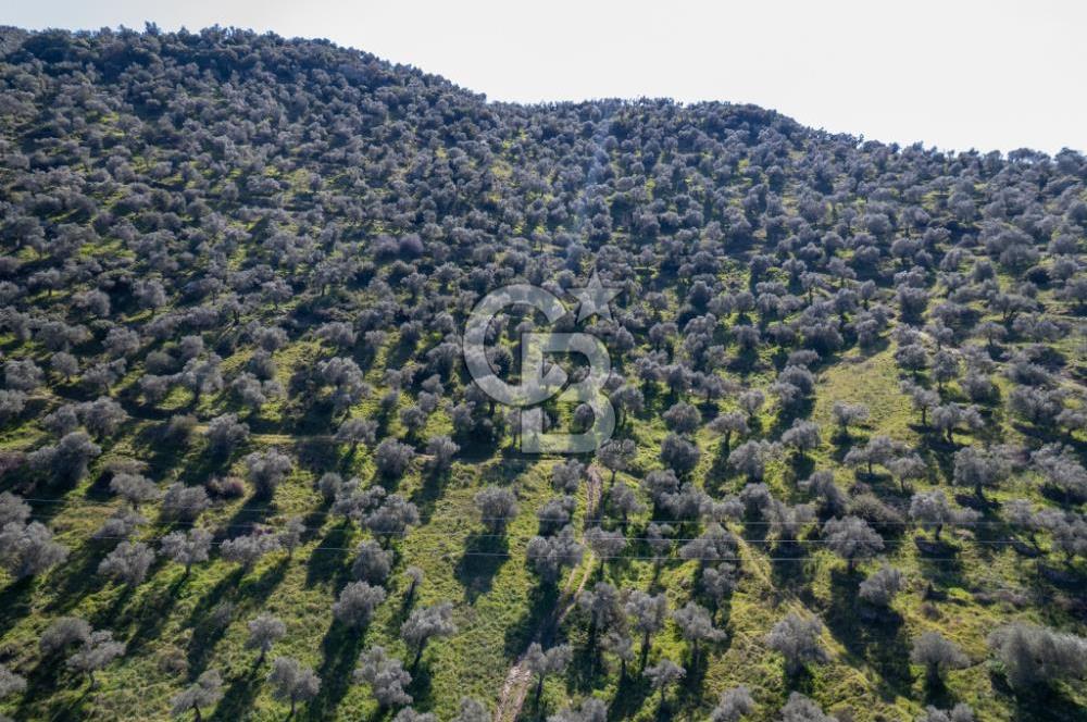 BELEVİ GÖLÜ KARŞISI 108.343 METREKARE SATILIK ARAZİ!