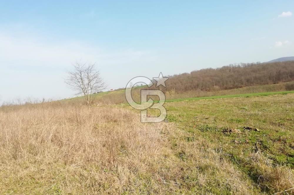 KANDIRA YUSUFÇA,KÖYE 350 MT,ORMANA CEPHE,10277 M2 MÜSTAKİL TARLA