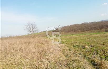 KANDIRA YUSUFÇA,KÖYE 350 MT,ORMANA CEPHE,10277 M2 MÜSTAKİL TARLA