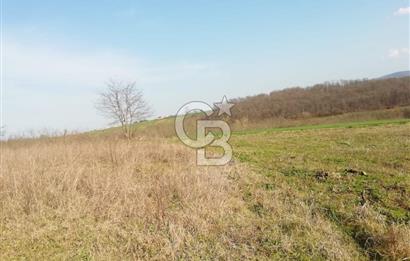 KANDIRA YUSUFÇA,KÖYE 350 MT,ORMANA CEPHE,10277 M2 MÜSTAKİL TARLA