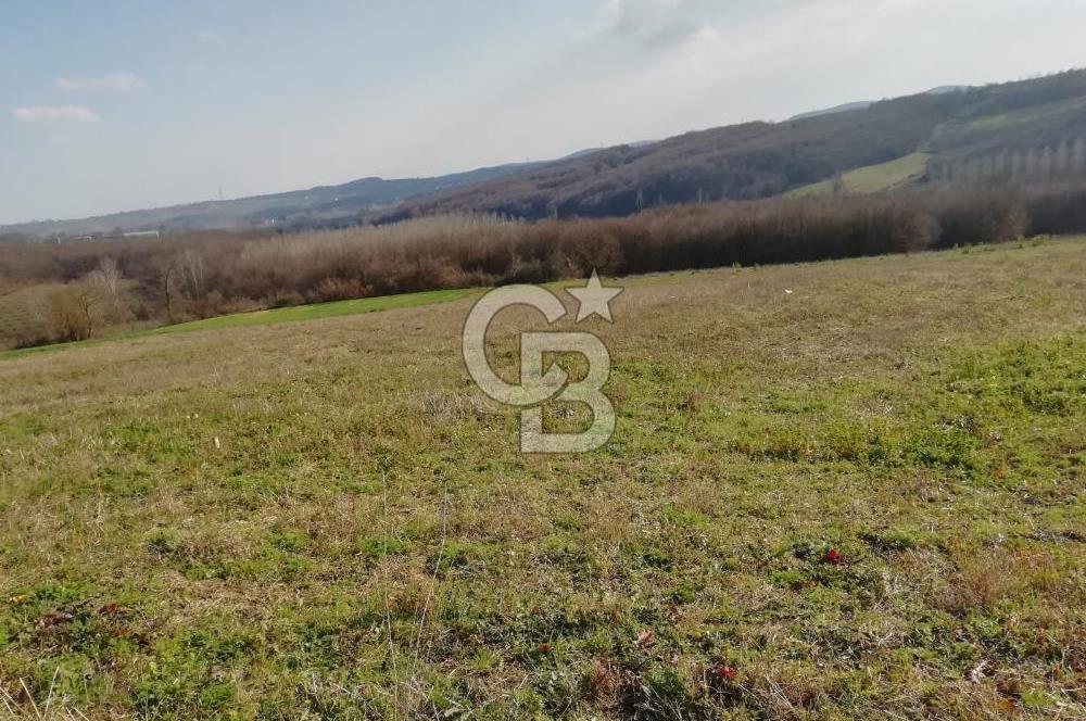 KANDIRA YUSUFÇA,KÖYE 350 MT,ORMANA CEPHE,10277 M2 MÜSTAKİL TARLA