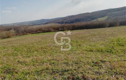 KANDIRA YUSUFÇA,KÖYE 350 MT,ORMANA CEPHE,10277 M2 MÜSTAKİL TARLA