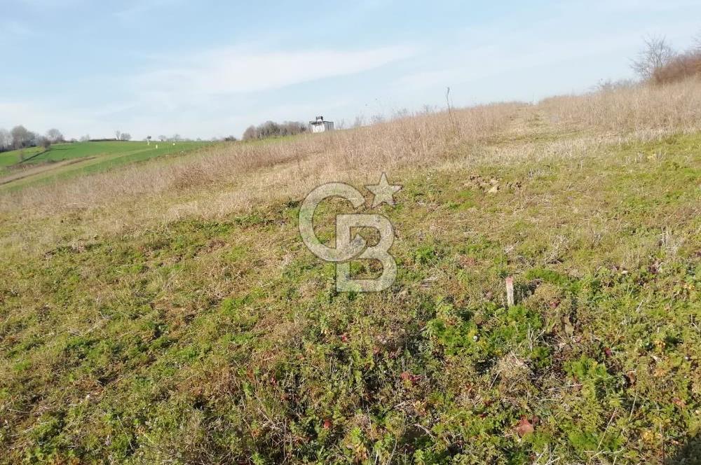 KANDIRA YUSUFÇA,KÖYE 350 MT,ORMANA CEPHE,10277 M2 MÜSTAKİL TARLA