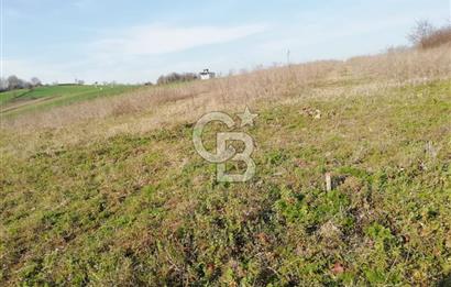 KANDIRA YUSUFÇA,KÖYE 350 MT,ORMANA CEPHE,10277 M2 MÜSTAKİL TARLA