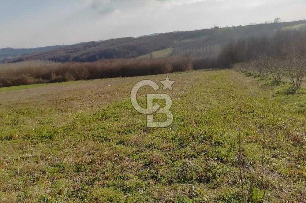 KANDIRA YUSUFÇA,KÖYE 350 MT,ORMANA CEPHE,10277 M2 MÜSTAKİL TARLA