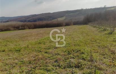 KANDIRA YUSUFÇA,KÖYE 350 MT,ORMANA CEPHE,10277 M2 MÜSTAKİL TARLA