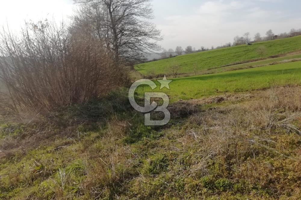 KANDIRA YUSUFÇA,KÖYE 350 MT,ORMANA CEPHE,10277 M2 MÜSTAKİL TARLA