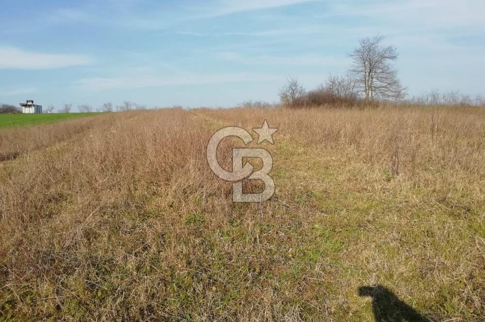 KANDIRA YUSUFÇA,KÖYE 350 MT,ORMANA CEPHE,10277 M2 MÜSTAKİL TARLA