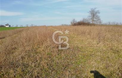 KANDIRA YUSUFÇA,KÖYE 350 MT,ORMANA CEPHE,10277 M2 MÜSTAKİL TARLA
