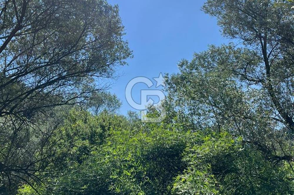 Güzelbahçe 'de 3671 M2 Satılık Doğa Manzaralı Tarla