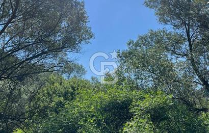 Güzelbahçe 'de 3671 M2 Satılık Doğa Manzaralı Tarla