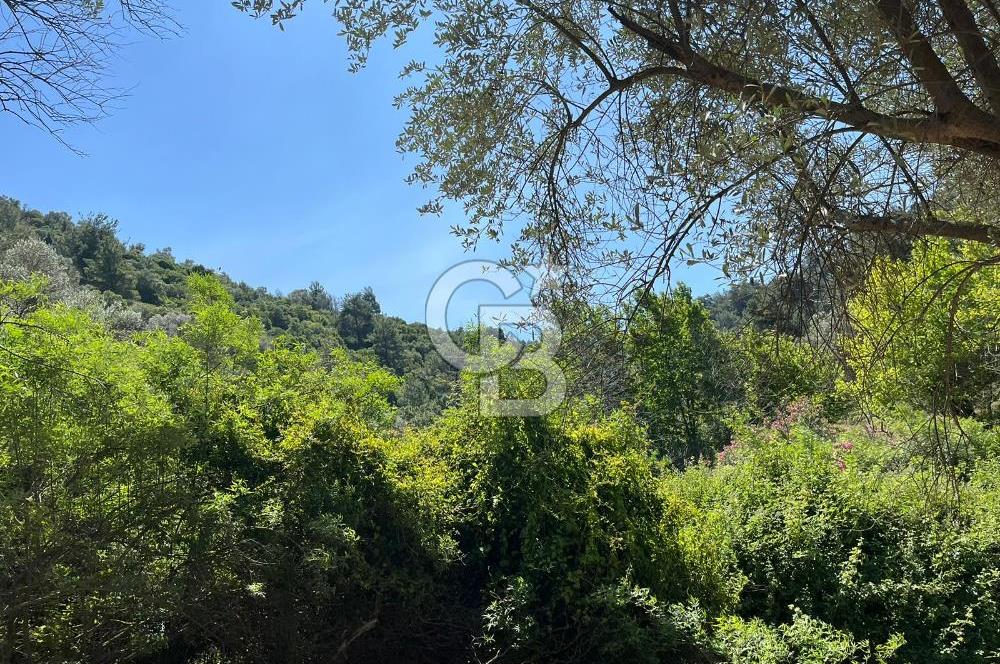 Güzelbahçe 'de 3671 M2 Satılık Doğa Manzaralı Tarla