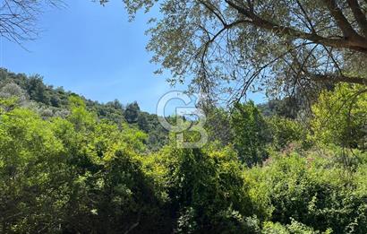 Güzelbahçe 'de 3671 M2 Satılık Doğa Manzaralı Tarla