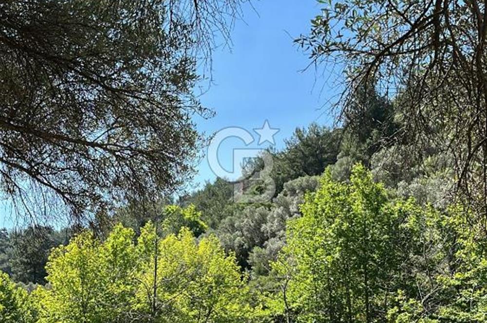 Güzelbahçe 'de 3671 M2 Satılık Doğa Manzaralı Tarla