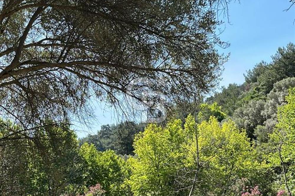 Güzelbahçe 'de 3671 M2 Satılık Doğa Manzaralı Tarla