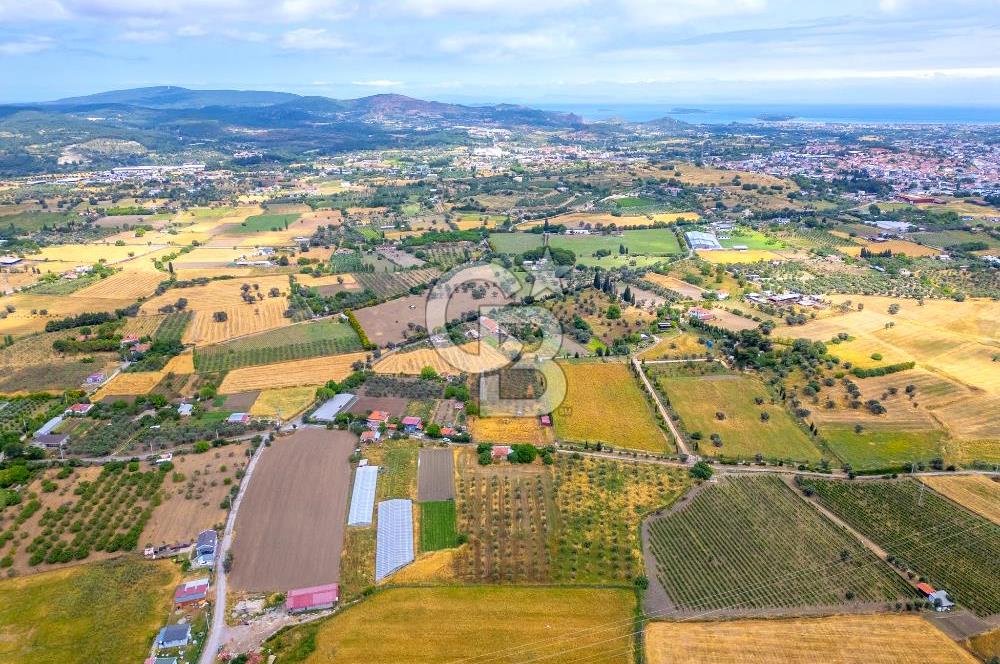 URLA SIRA MAH. SATILIK 6353 M2 ARAZİ