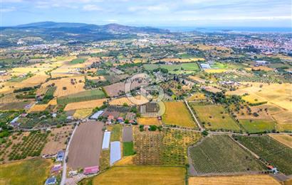 URLA SIRA MAH. SATILIK 6353 M2 ARAZİ