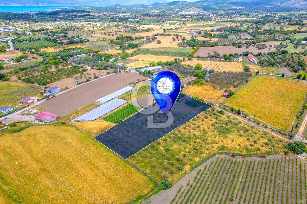 URLA SIRA MAH. SATILIK 6353 M2 ARAZİ