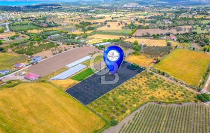 URLA SIRA MAH. SATILIK 6353 M2 ARAZİ