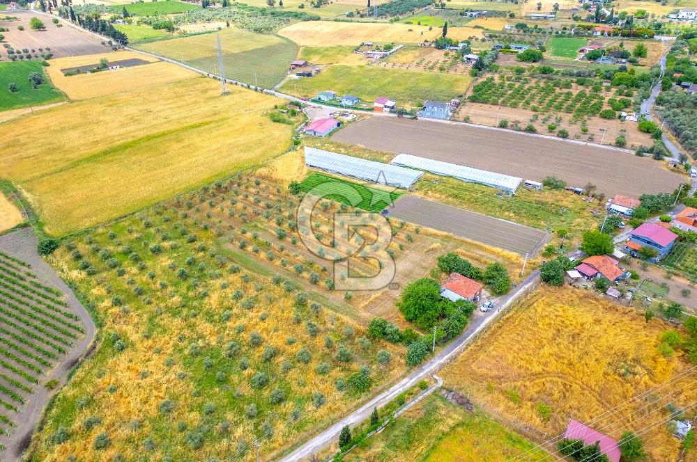 URLA SIRA MAH. SATILIK 6353 M2 ARAZİ