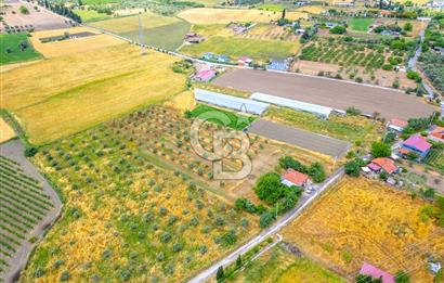 URLA SIRA MAH. SATILIK 6353 M2 ARAZİ