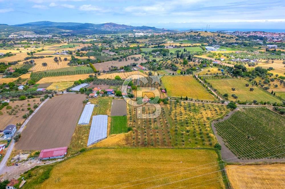 URLA SIRA MAH. SATILIK 6353 M2 ARAZİ