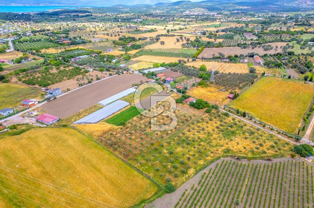 URLA SIRA MAH. SATILIK 6353 M2 ARAZİ