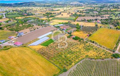 URLA SIRA MAH. SATILIK 6353 M2 ARAZİ